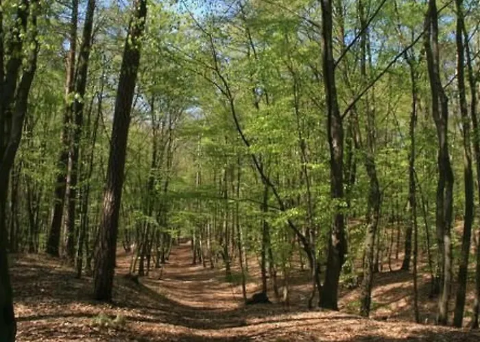 1 - Eg By Interhome 公寓 泽姆平